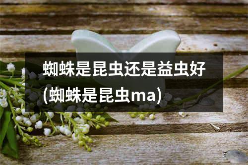 蜘蛛是昆虫还是益虫好(蜘蛛是昆虫ma)