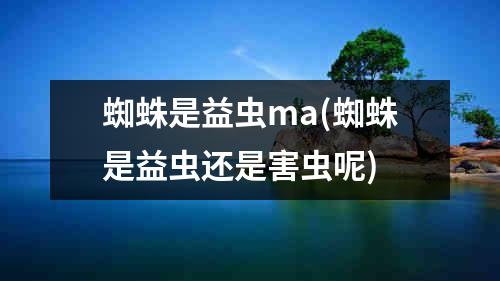 蜘蛛是益虫ma(蜘蛛是益虫还是害虫呢)