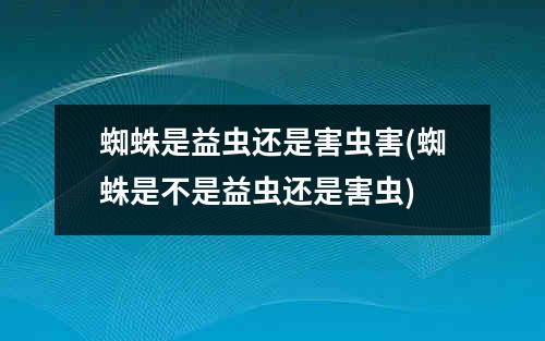 蜘蛛是益虫还是害虫害(蜘蛛是不是益虫还是害虫)