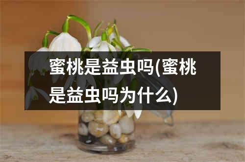 蜜桃是益虫吗(蜜桃是益虫吗为什么)