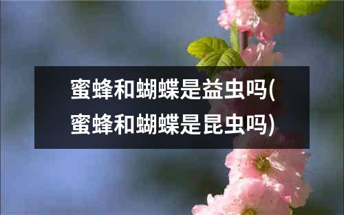 蜜蜂和蝴蝶是益虫吗(蜜蜂和蝴蝶是昆虫吗)