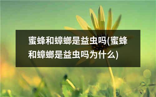 蜜蜂和蟑螂是益虫吗(蜜蜂和蟑螂是益虫吗为什么)