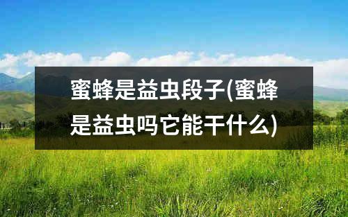 蜜蜂是益虫段子(蜜蜂是益虫吗它能干什么)