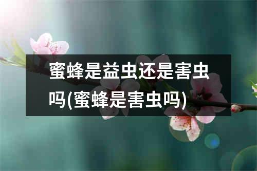 蜜蜂是益虫还是害虫吗(蜜蜂是害虫吗)