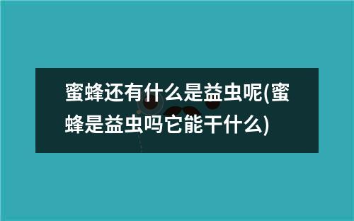 蜜蜂还有什么是益虫呢(蜜蜂是益虫吗它能干什么)