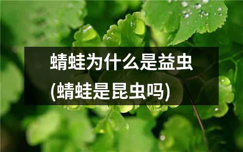 蜻蛙为什么是益虫(蜻蛙是昆虫吗)