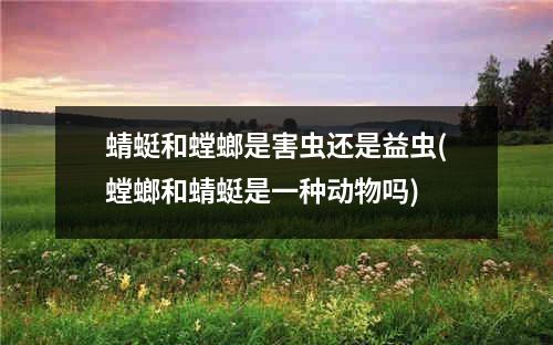 蜻蜓和螳螂是害虫还是益虫(螳螂和蜻蜓是一种动物吗)