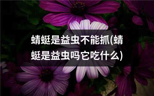 蜻蜓是益虫不能抓(蜻蜓是益虫吗它吃什么)