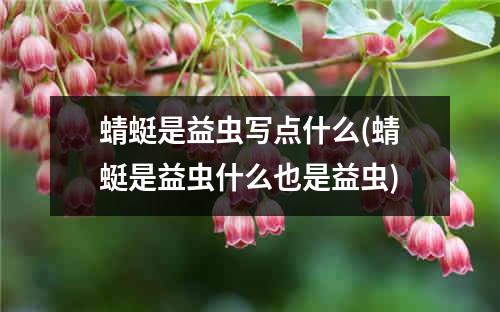 蜻蜓是益虫写点什么(蜻蜓是益虫什么也是益虫)