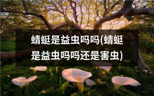 蜻蜓是益虫吗吗(蜻蜓是益虫吗吗还是害虫)