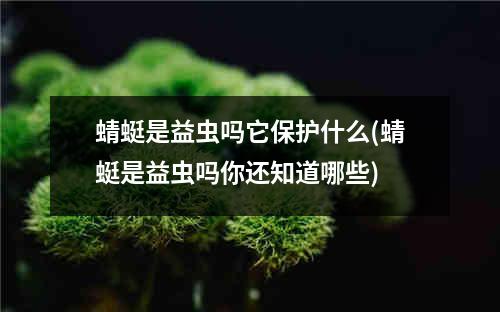 蜻蜓是益虫吗它保护什么(蜻蜓是益虫吗你还知道哪些)