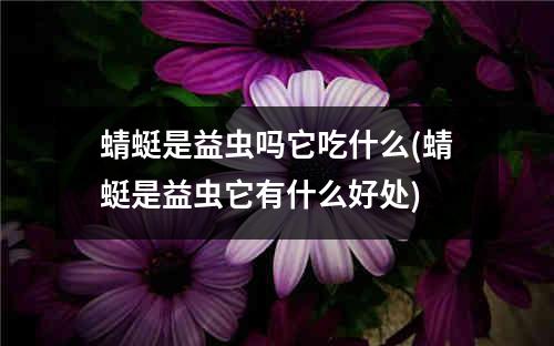 蜻蜓是益虫吗它吃什么(蜻蜓是益虫它有什么好处)