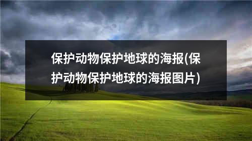 保护动物保护地球的海报(保护动物保护地球的海报图片)