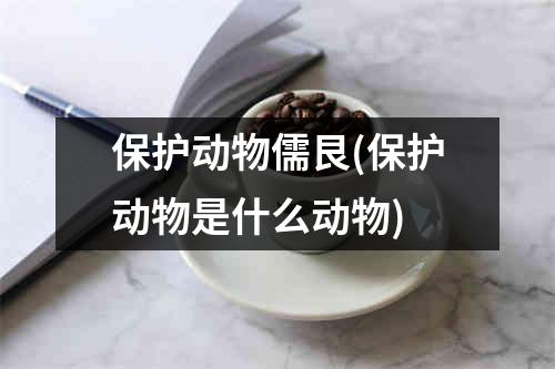 保护动物儒艮(保护动物是什么动物)