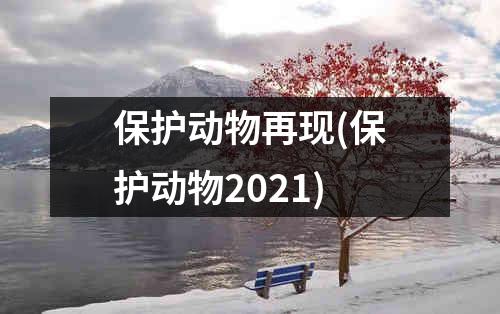 保护动物再现(保护动物2021)