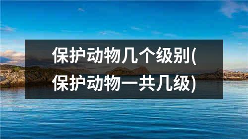 保护动物几个级别(保护动物一共几级)