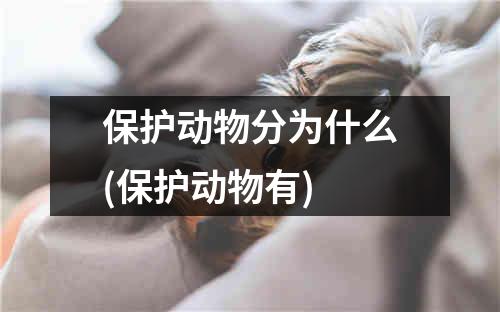 保护动物分为什么(保护动物有)