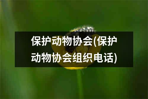 保护动物协会(保护动物协会组织电话)