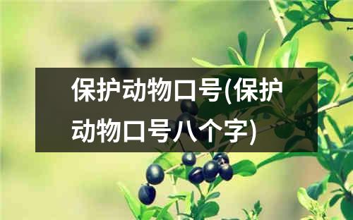 保护动物口号(保护动物口号八个字)