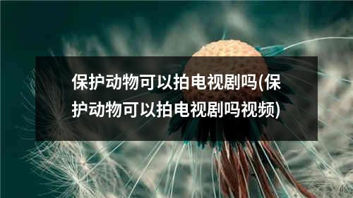 保护动物可以拍电视剧吗(保护动物可以拍电视剧吗视频)