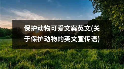 保护动物可爱文案英文(关于保护动物的英文宣传语)