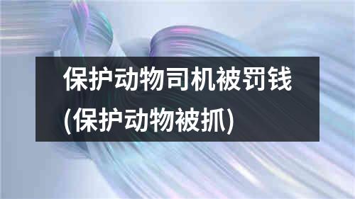 保护动物司机被罚钱(保护动物被抓)