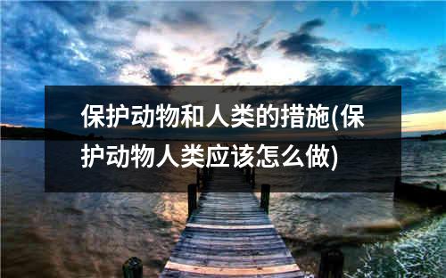 保护动物和人类的措施(保护动物人类应该怎么做)