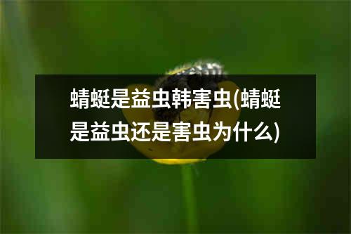 蜻蜓是益虫韩害虫(蜻蜓是益虫还是害虫为什么)