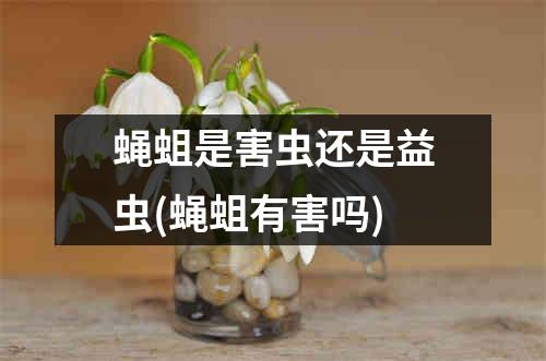 蝇蛆是害虫还是益虫(蝇蛆有害吗)