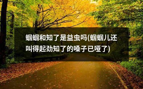 蝈蝈和知了是益虫吗(蝈蝈儿还叫得起劲知了的嗓子已哑了)