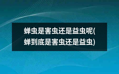 蝉虫是害虫还是益虫呢(蝉到底是害虫还是益虫)