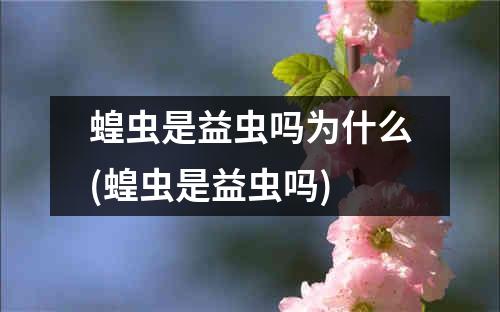 蝗虫是益虫吗为什么(蝗虫是益虫吗)