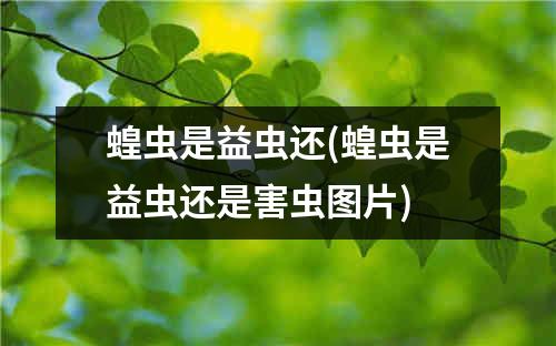 蝗虫是益虫还(蝗虫是益虫还是害虫图片)