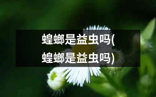 蝗螂是益虫吗(蝗螂是益虫吗)