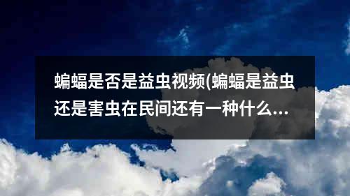 蝙蝠是否是益虫视频(蝙蝠是益虫还是害虫在民间还有一种什么说法)