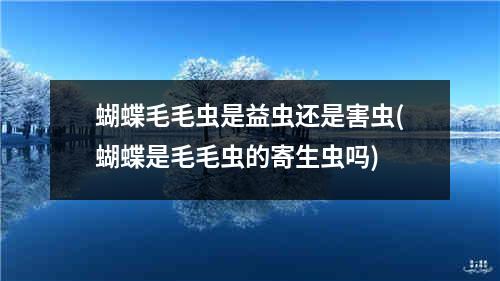 蝴蝶毛毛虫是益虫还是害虫(蝴蝶是毛毛虫的寄生虫吗)