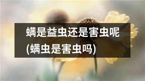 螨是益虫还是害虫呢(螨虫是害虫吗)