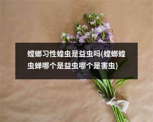 螳螂习性蝗虫是益虫吗(螳螂蝗虫蝉哪个是益虫哪个是害虫)