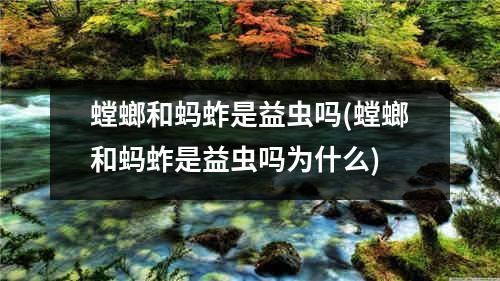 螳螂和蚂蚱是益虫吗(螳螂和蚂蚱是益虫吗为什么)