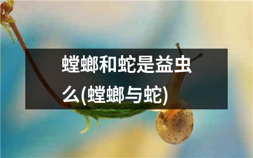 螳螂和蛇是益虫么(螳螂与蛇)