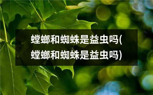 螳螂和蜘蛛是益虫吗(螳螂和蜘蛛是益虫吗)