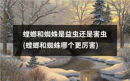 螳螂和蜘蛛是益虫还是害虫(螳螂和蜘蛛哪个更厉害)