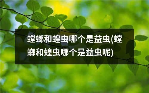 螳螂和蝗虫哪个是益虫(螳螂和蝗虫哪个是益虫呢)