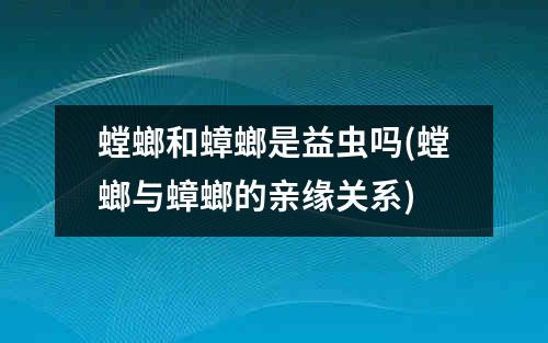 螳螂和蟑螂是益虫吗(螳螂与蟑螂的亲缘关系)