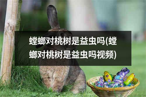 螳螂对桃树是益虫吗(螳螂对桃树是益虫吗视频)