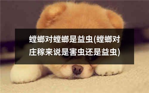 螳螂对螳螂是益虫(螳螂对庄稼来说是害虫还是益虫)