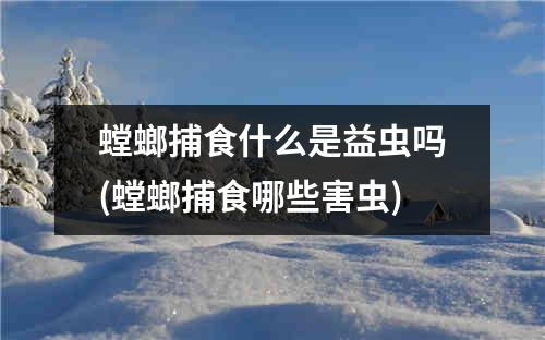 螳螂捕食什么是益虫吗(螳螂捕食哪些害虫)