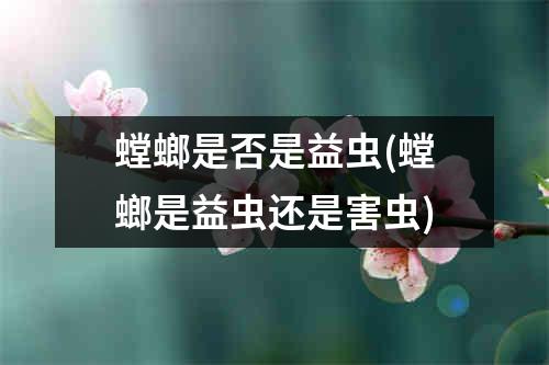 螳螂是否是益虫(螳螂是益虫还是害虫)