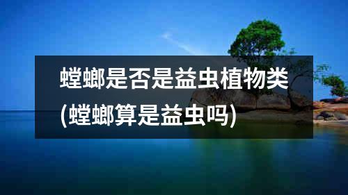 螳螂是否是益虫植物类(螳螂算是益虫吗)