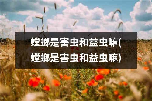 螳螂是害虫和益虫嘛(螳螂是害虫和益虫嘛)